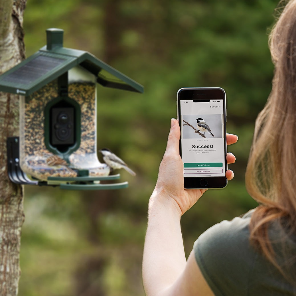Feather Snap Smart, Solar-Powered Bird Feeder W/ AI Species Recognition